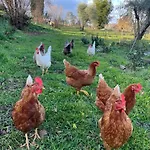 'merula Antica Dimora' By Interhome * Orvieto