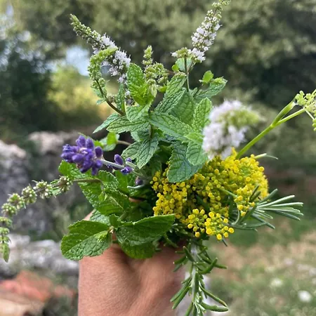 'merula Antica Dimora' By Interhome Orvieto