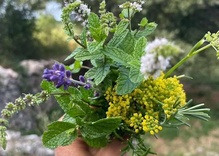 'merula Antica Dimora' By Interhome オルヴィエート