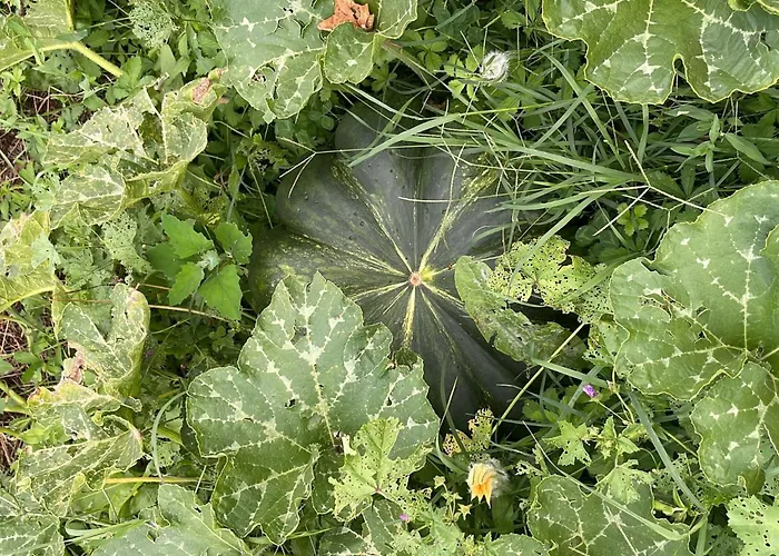 アパート 'merula Antica Dimora' By Interhome *